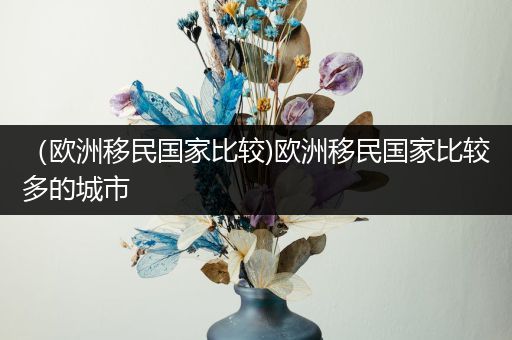 （欧洲移民国家比较)欧洲移民国家比较多的城市