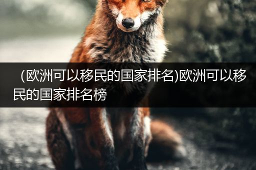 （欧洲可以移民的国家排名)欧洲可以移民的国家排名榜