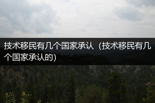 技术移民有几个国家承认（技术移民有几个国家承认的）