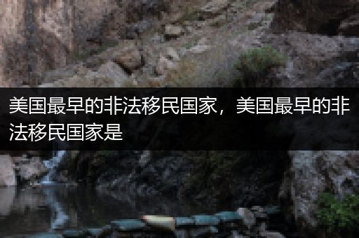 美国最早的非法移民国家，美国最早的非法移民国家是